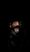 Abstract Monkey Wall Art Canvas